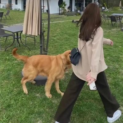 马尼拉之恋